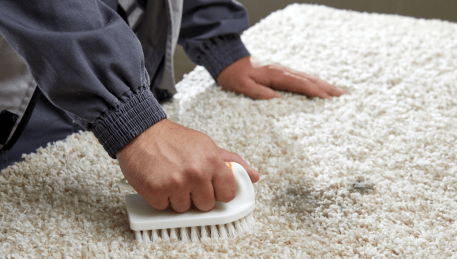 Professional Rug Cleaning Balwyn