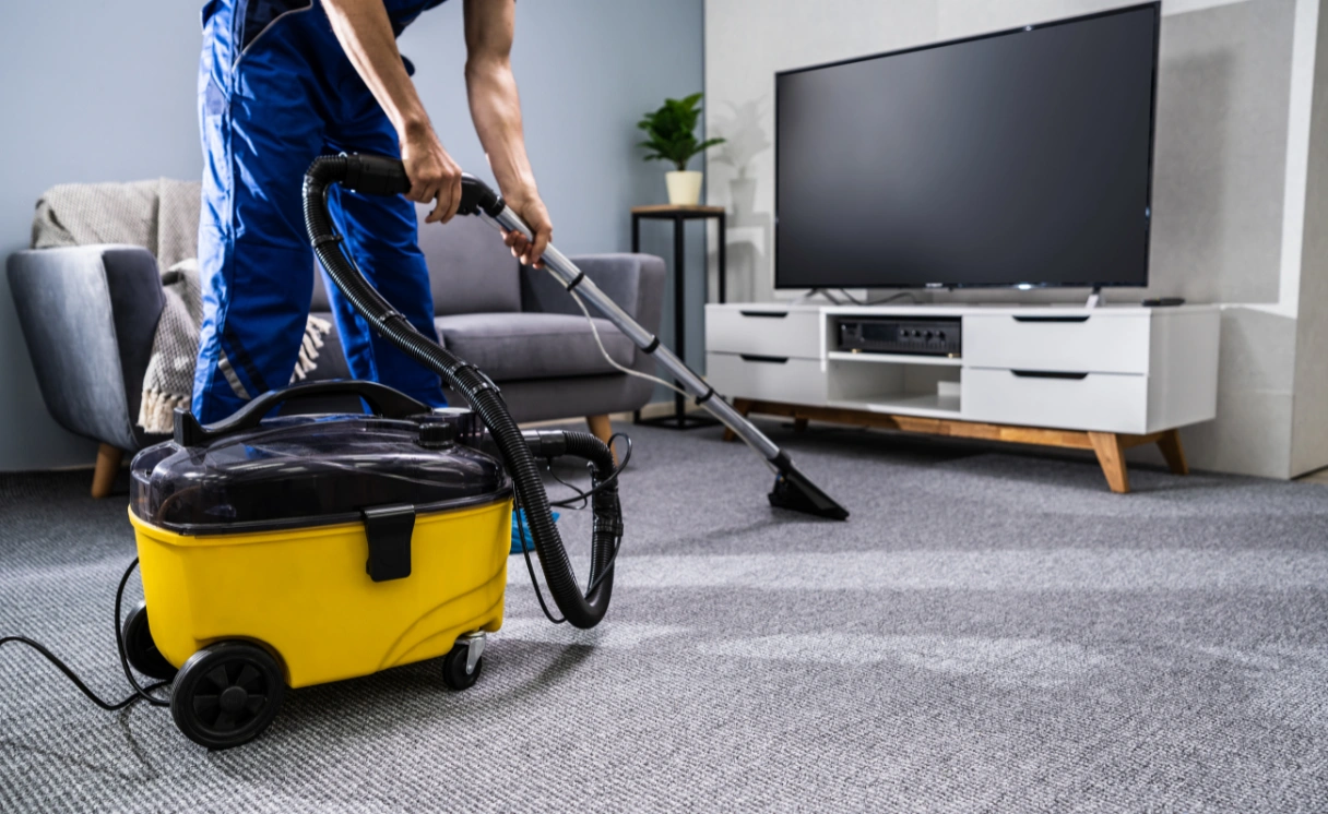 Extract Rug Cleaning Balwyn Contact Office